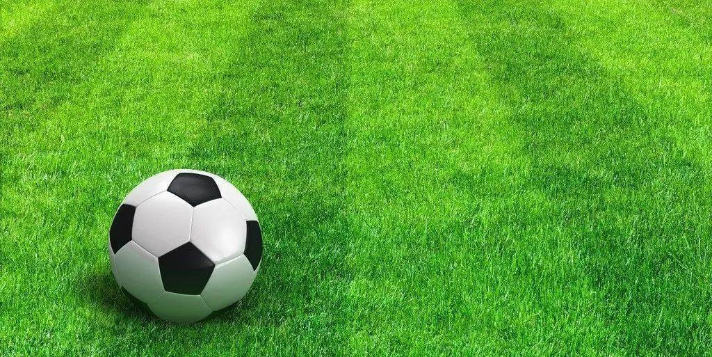 赛事研究者使用场景